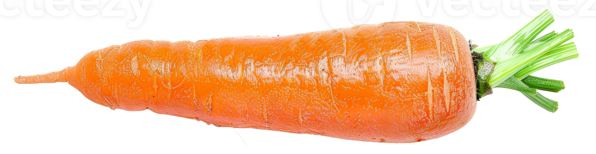 AI generated Fresh organic carrot with green tops on transparent background - stock png. png