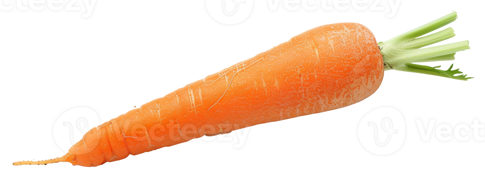 AI generated Fresh organic carrot with green tops on transparent background - stock png. png
