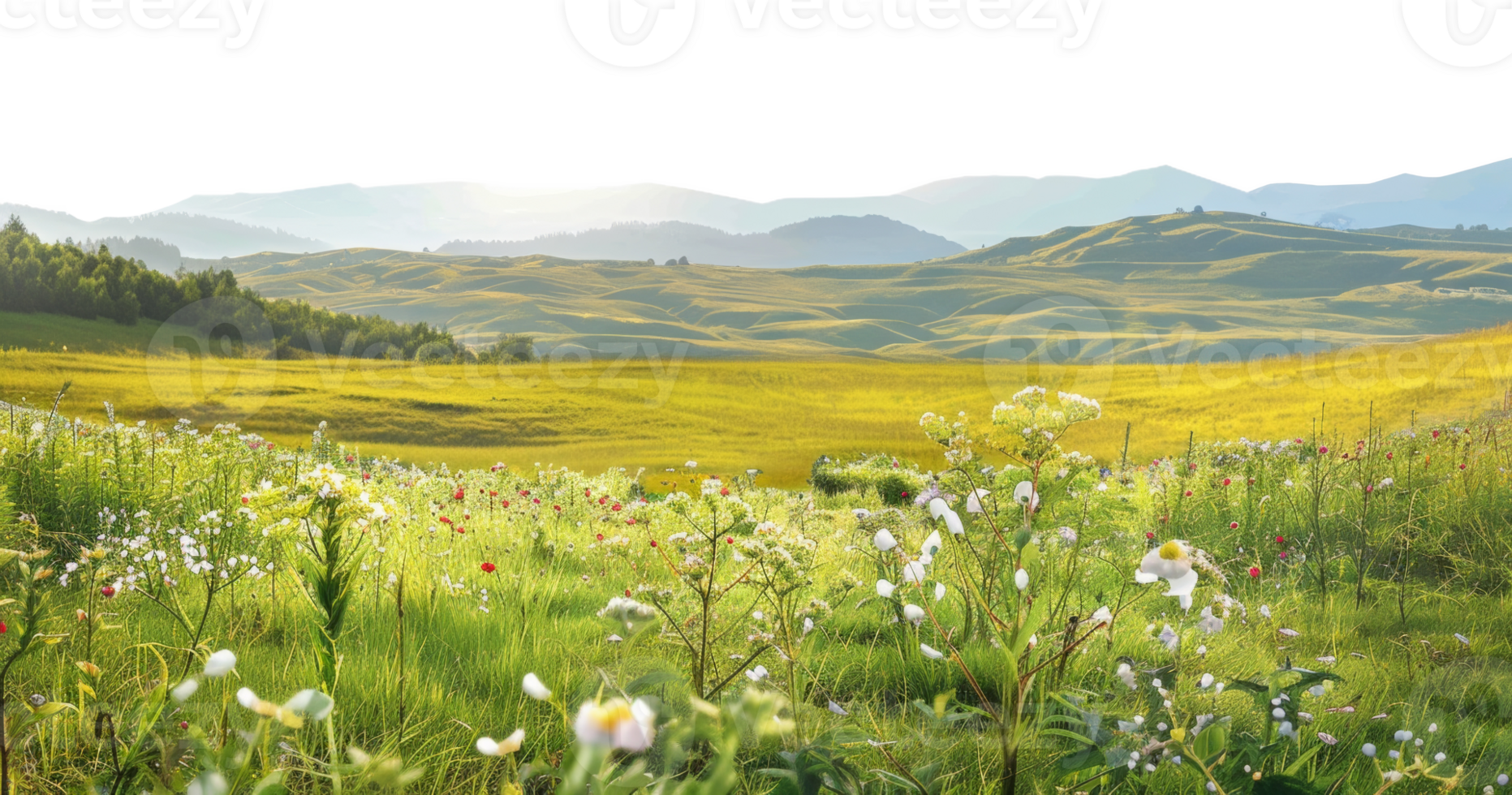 AI generated Colorful blossoming hillside with vibrant wildflowers and scenic views on transparent background - stock png. png
