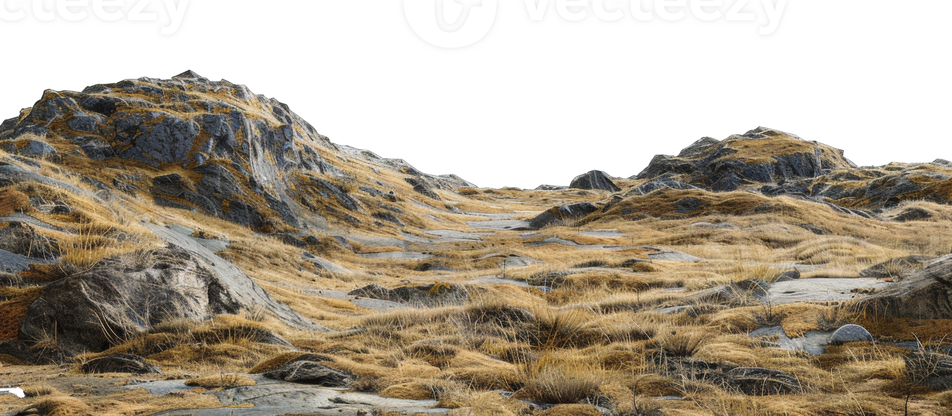 AI generated Barren rocky landscape with patches of dry grass and rugged terrain on transparent background - stock png. png