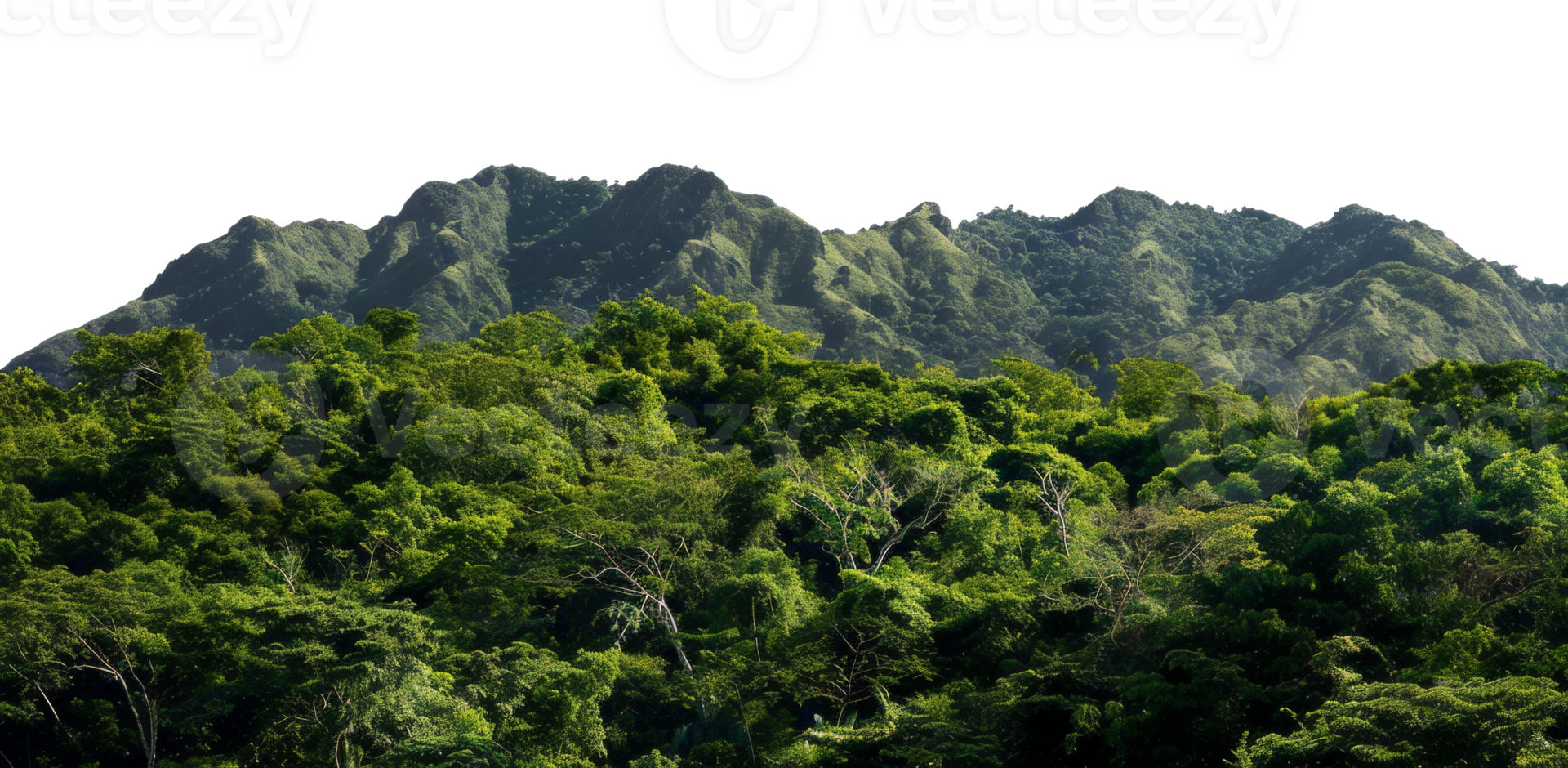 AI generated Dense green mountainous region with lush tropical forest and rugged terrain on transparent background - stock png. png