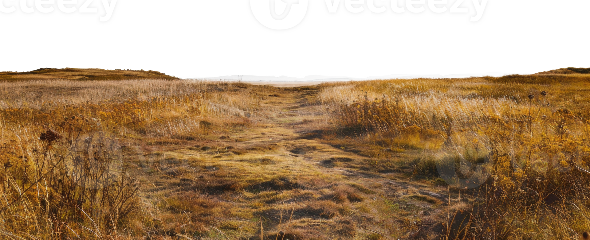 AI generated Landscape with patches of dry grass and rugged terrain on transparent background - stock png. png
