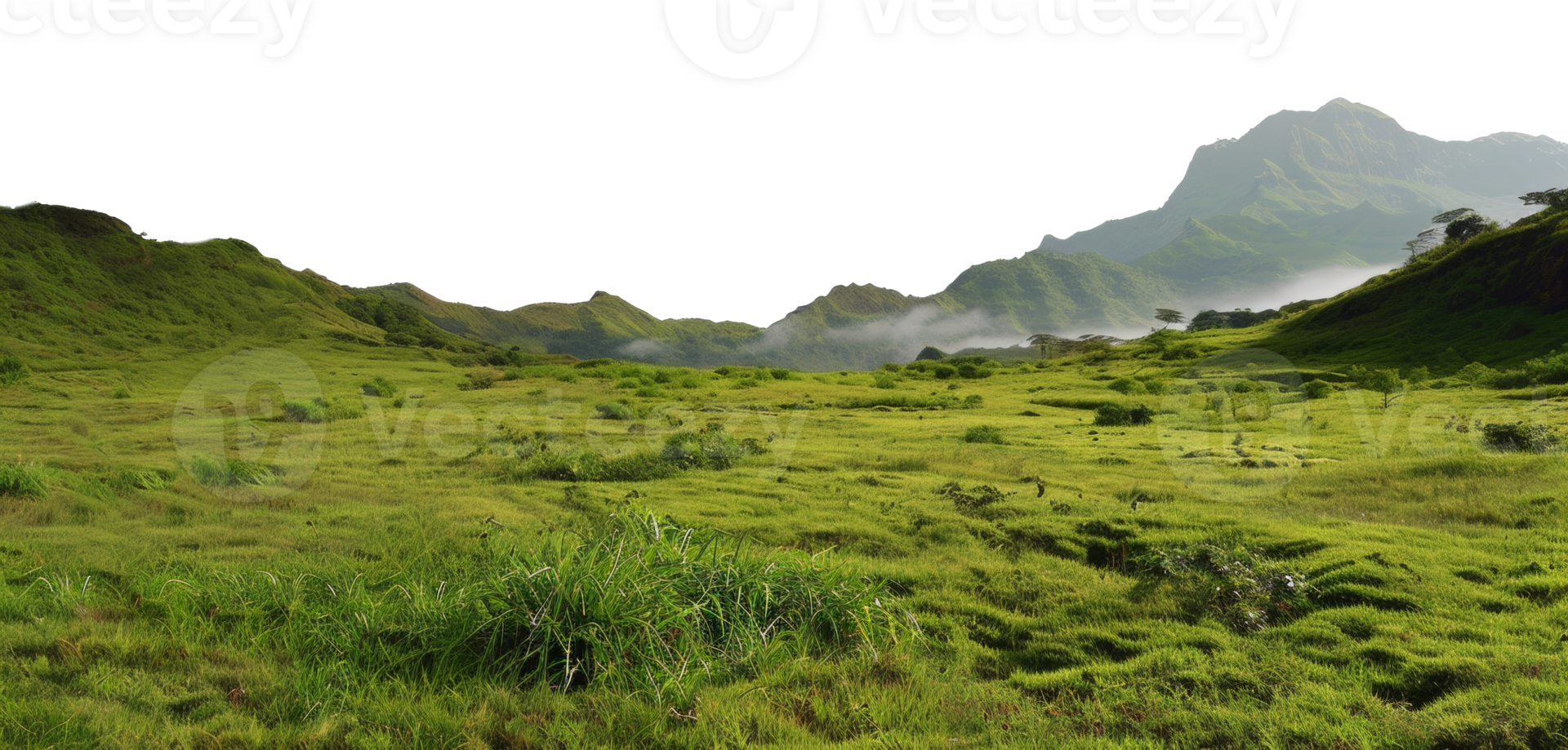 AI generated Green rolling hills and lush meadows in a tranquil rural landscape on transparent background - stock png. png