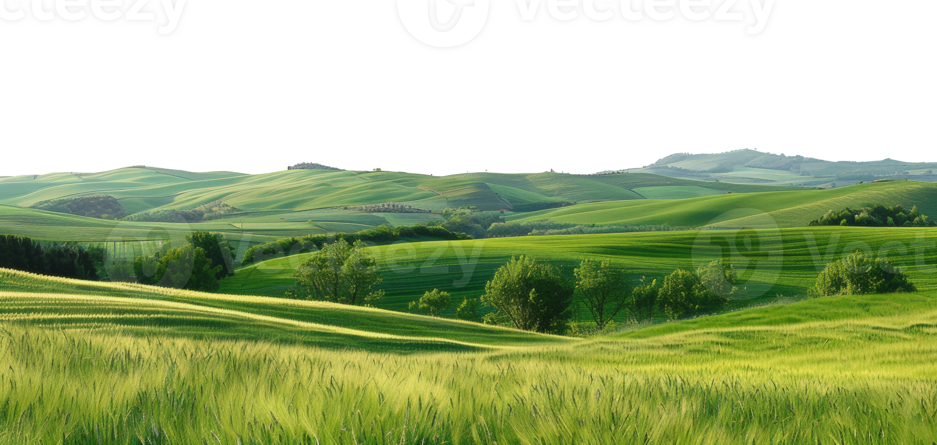 AI generated Serene rolling green hills in a peaceful landscape on transparent background - stock png. png