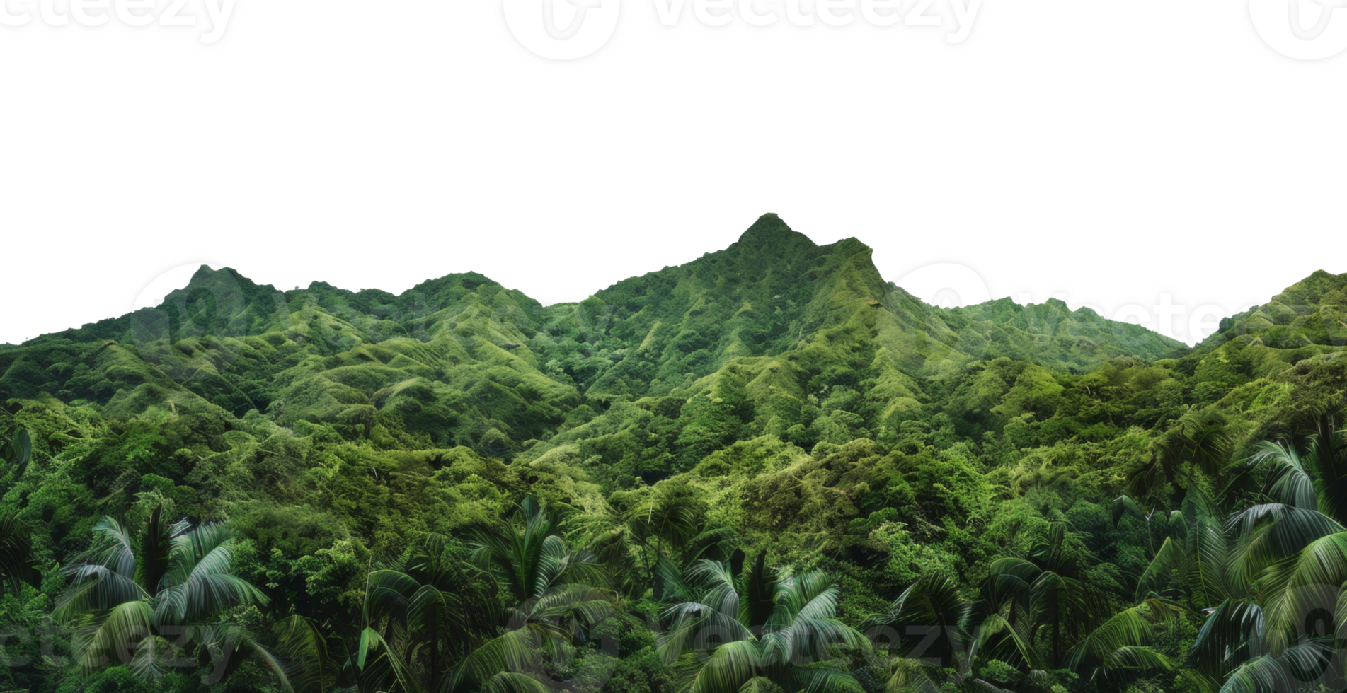 AI generated Dense tropical forest canopy with diverse foliage on transparent background - stock png. png