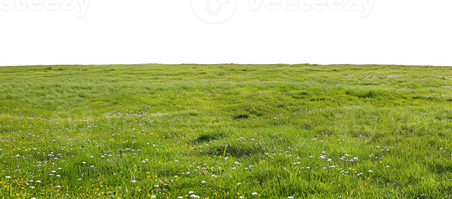 AI generated Vibrant green meadow with wildflowers on transparent background - stock png. png