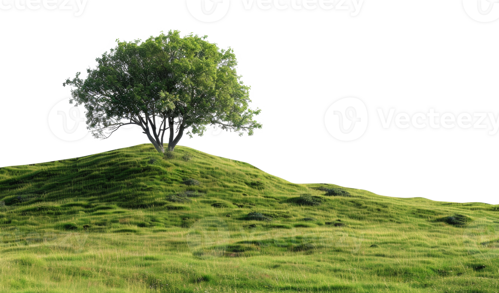 AI generated Solitary tree on a rolling green hill on transparent background - stock png. png