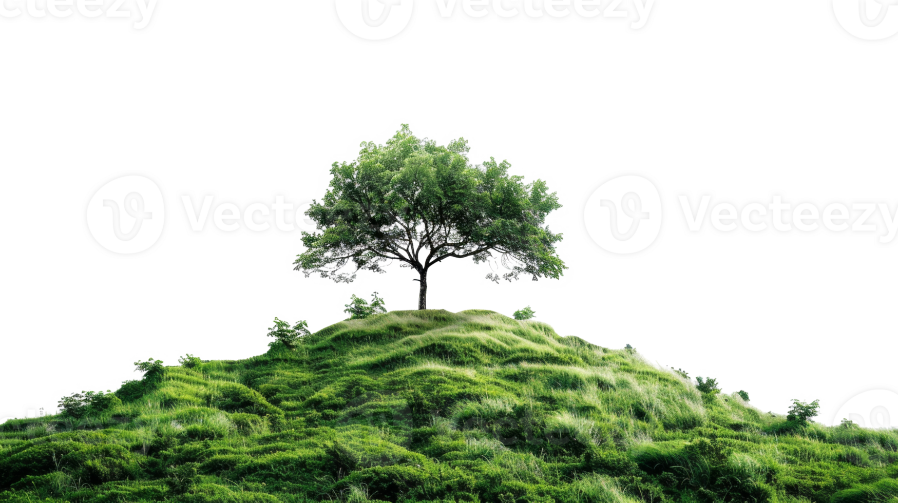 AI generated Solitary tree on a rolling green hill on transparent background - stock png. png