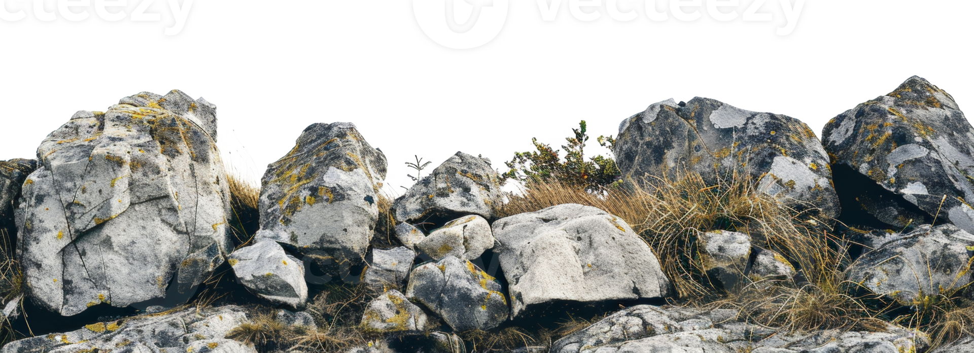 AI generated Rocky mountain outcrop with moss and sparse vegetation on transparent background - stock png. png