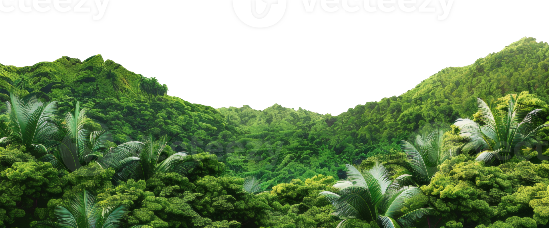 AI generated Vibrant tropical forest on transparent background - stock png. png