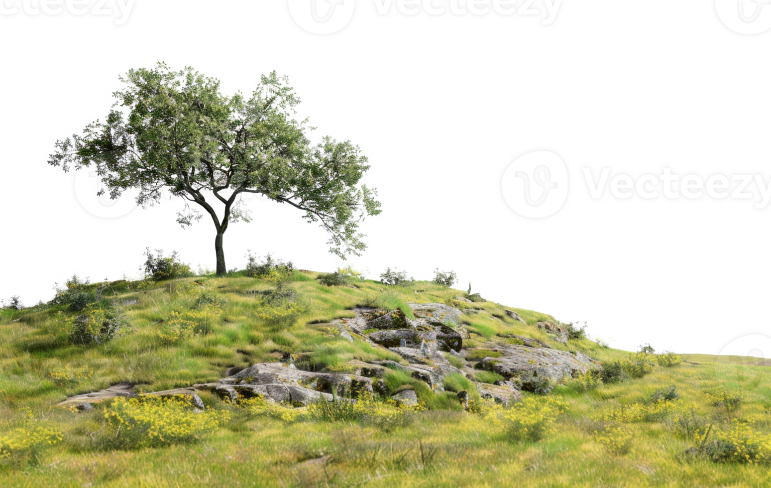AI generated Solitary tree on a rolling green hill on transparent background - stock png. png
