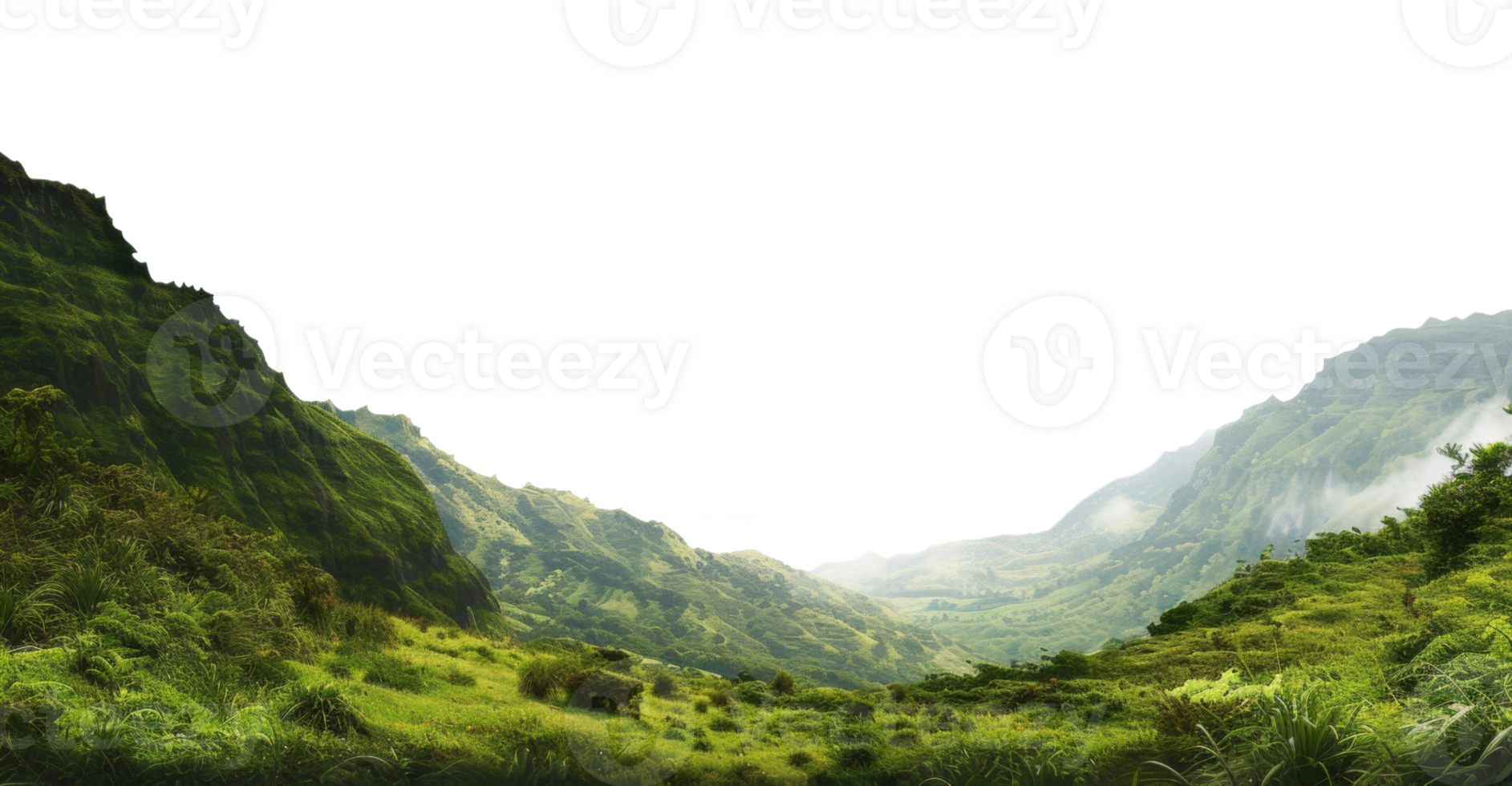 AI generated Alpine meadow with white wildflowers and forest in mountain landscape on transparent background - stock png. png