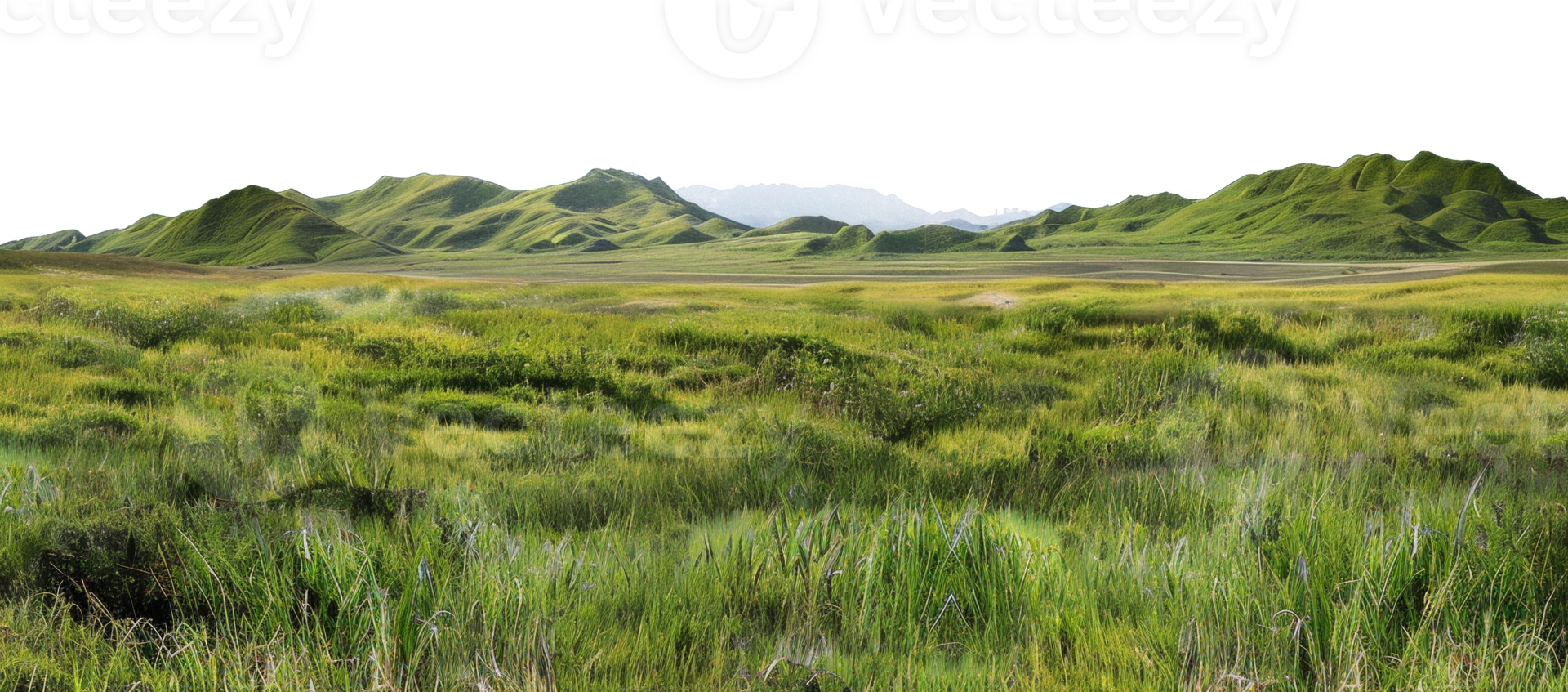AI generated Green rolling hills and lush meadows in a tranquil rural landscape on transparent background - stock png. png