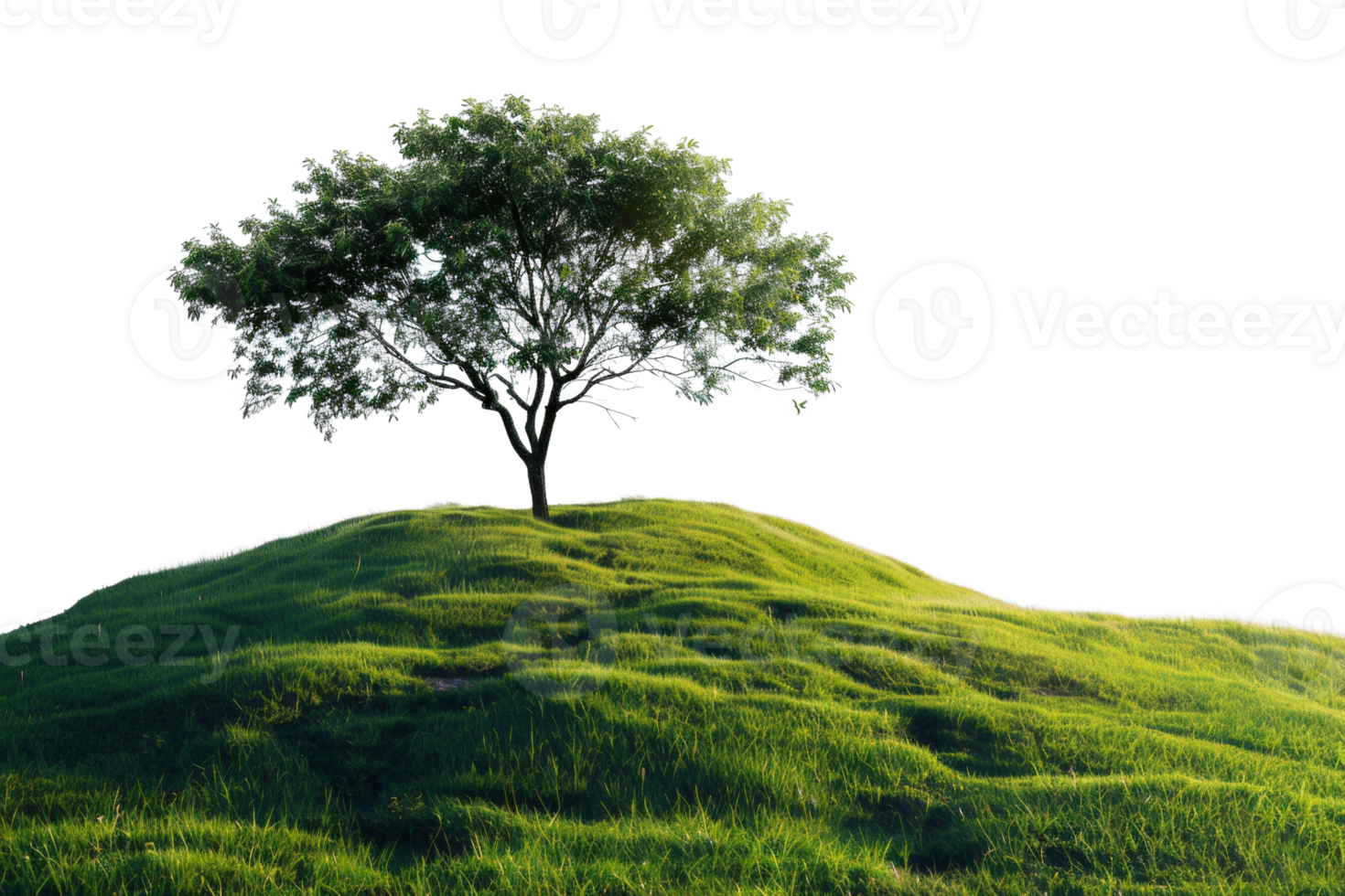 AI generated Solitary tree on a rolling green hill on transparent background - stock png. png