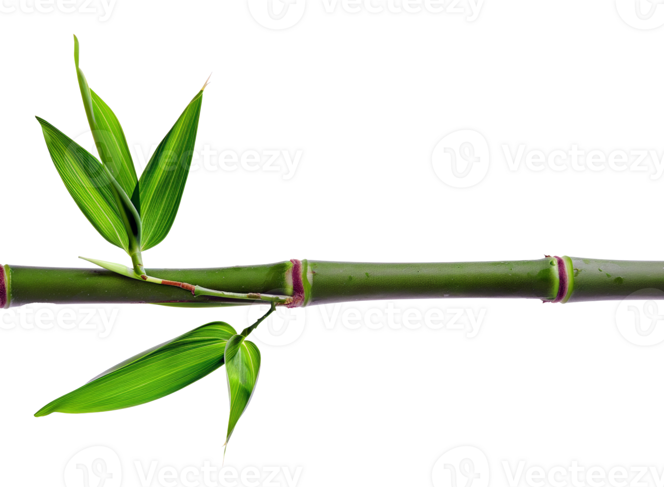 AI generated Green bamboo branch with leaves on transparent background - stock png. png