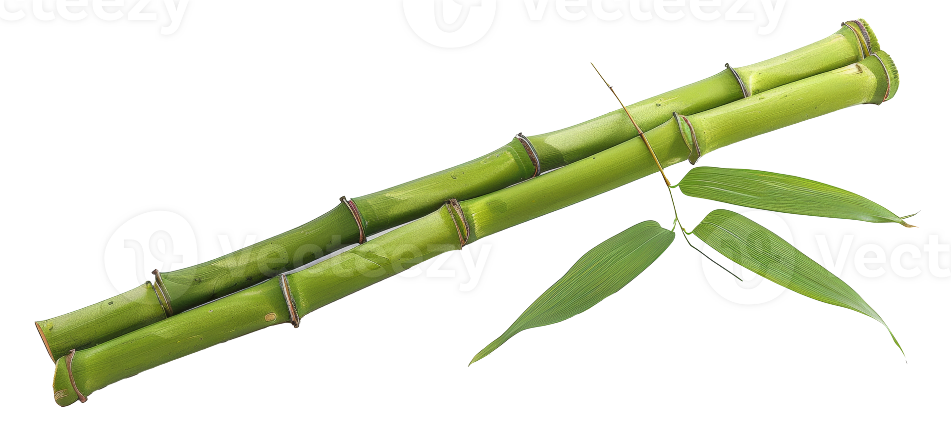 AI generated Green bamboo branch with leaves on transparent background - stock png. png