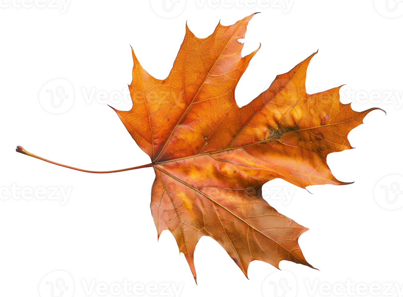 AI generated Orange autumn maple leaf on transparent background - stock png. png