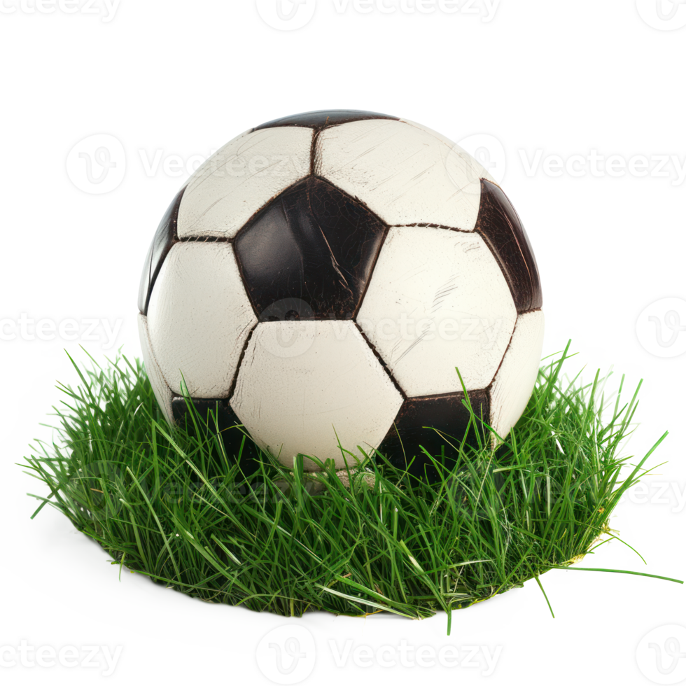 AI generated Soccer ball on green grass with transparent background png