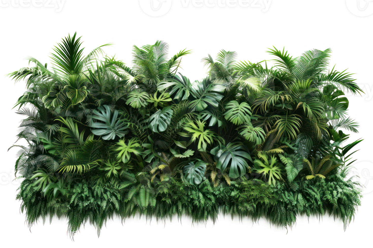 AI generated Green wall of tropical plants on a transparent background png