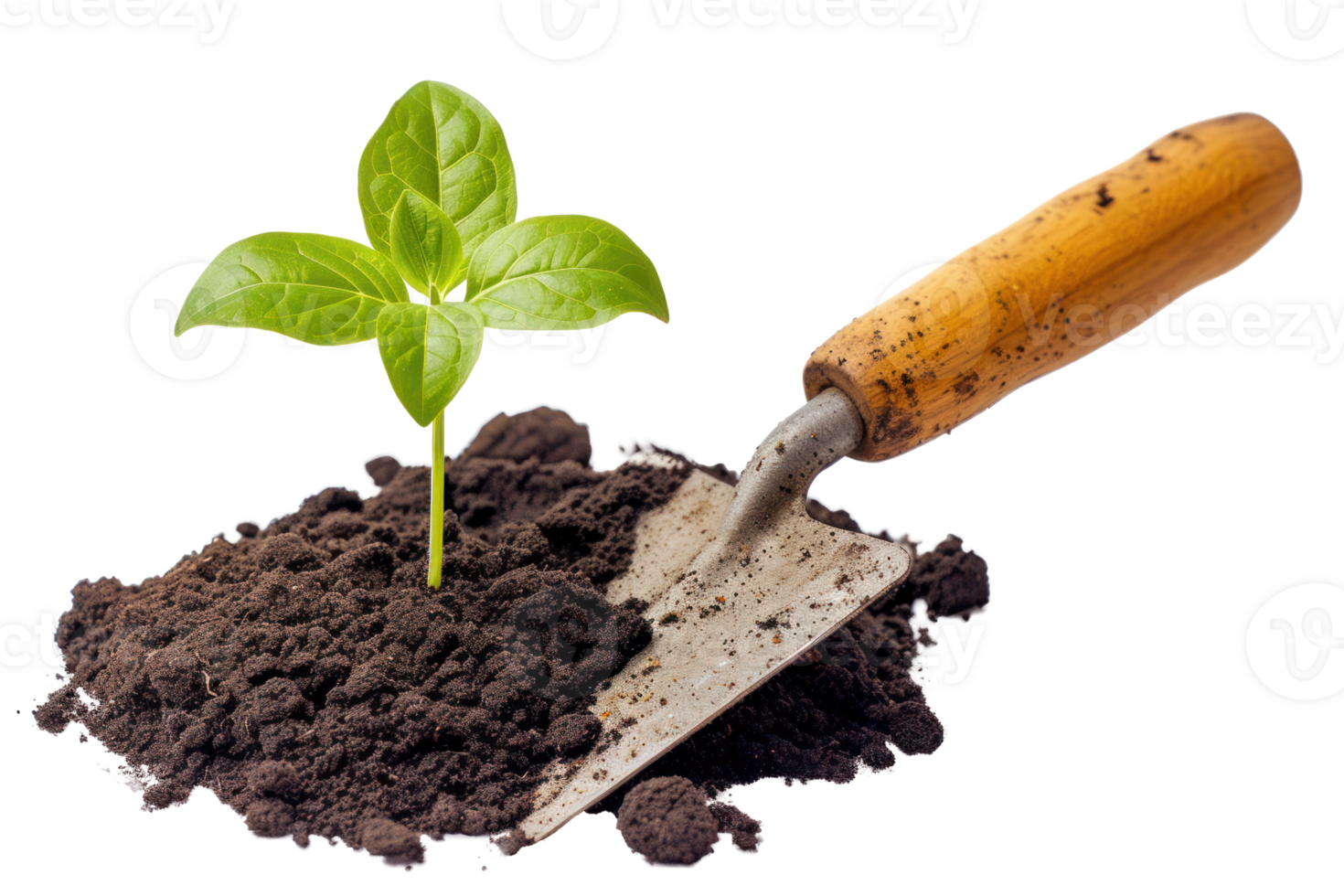 AI generated Young plant in the soil with a garden shovel on a transparent background png