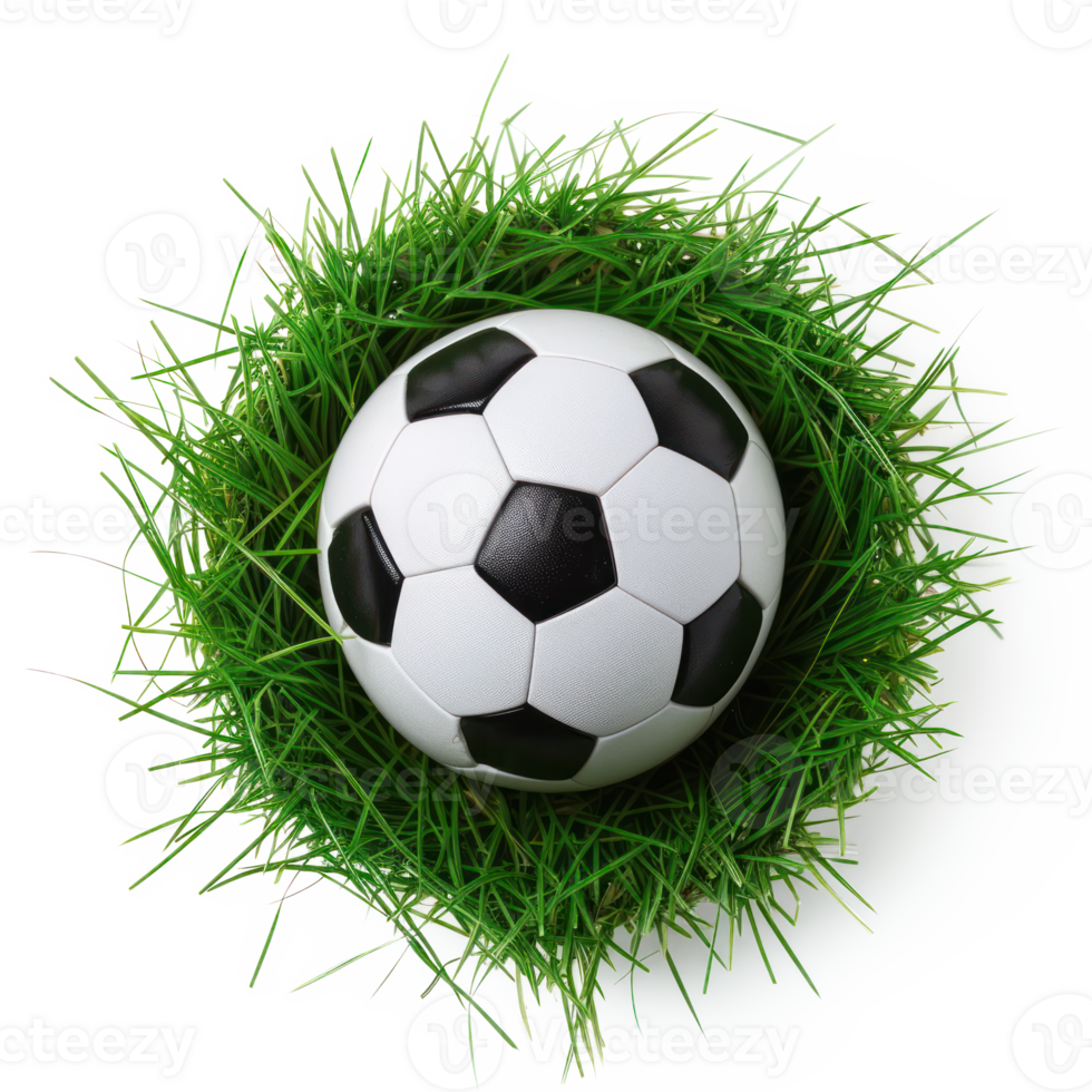AI generated Soccer ball on green grass with transparent background png