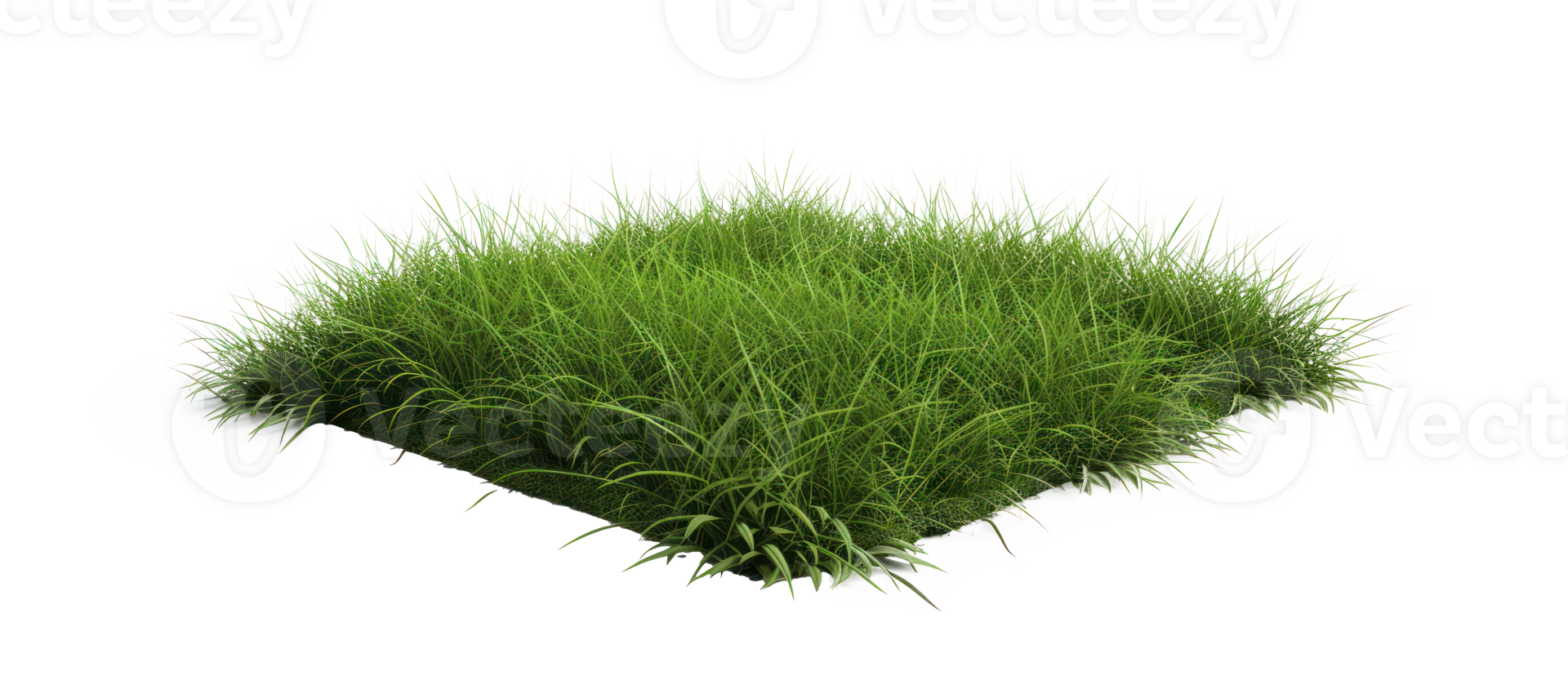 AI generated Small green grass lawn of square shape. Realistic natural element on a transparent background png