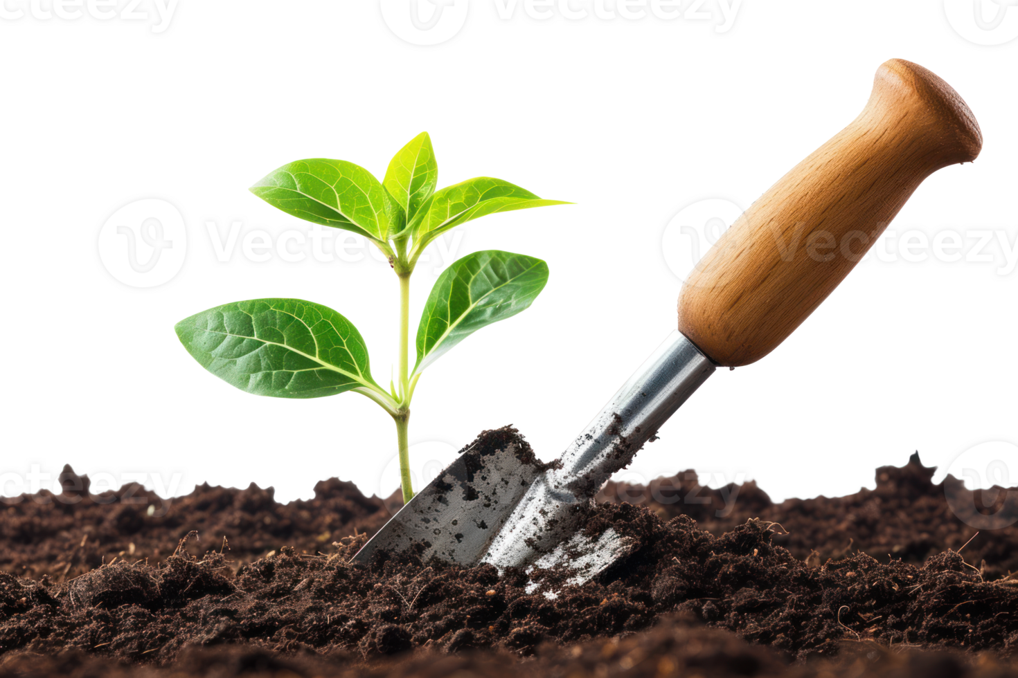 AI generated Young plant in the soil with a garden shovel on a transparent background png