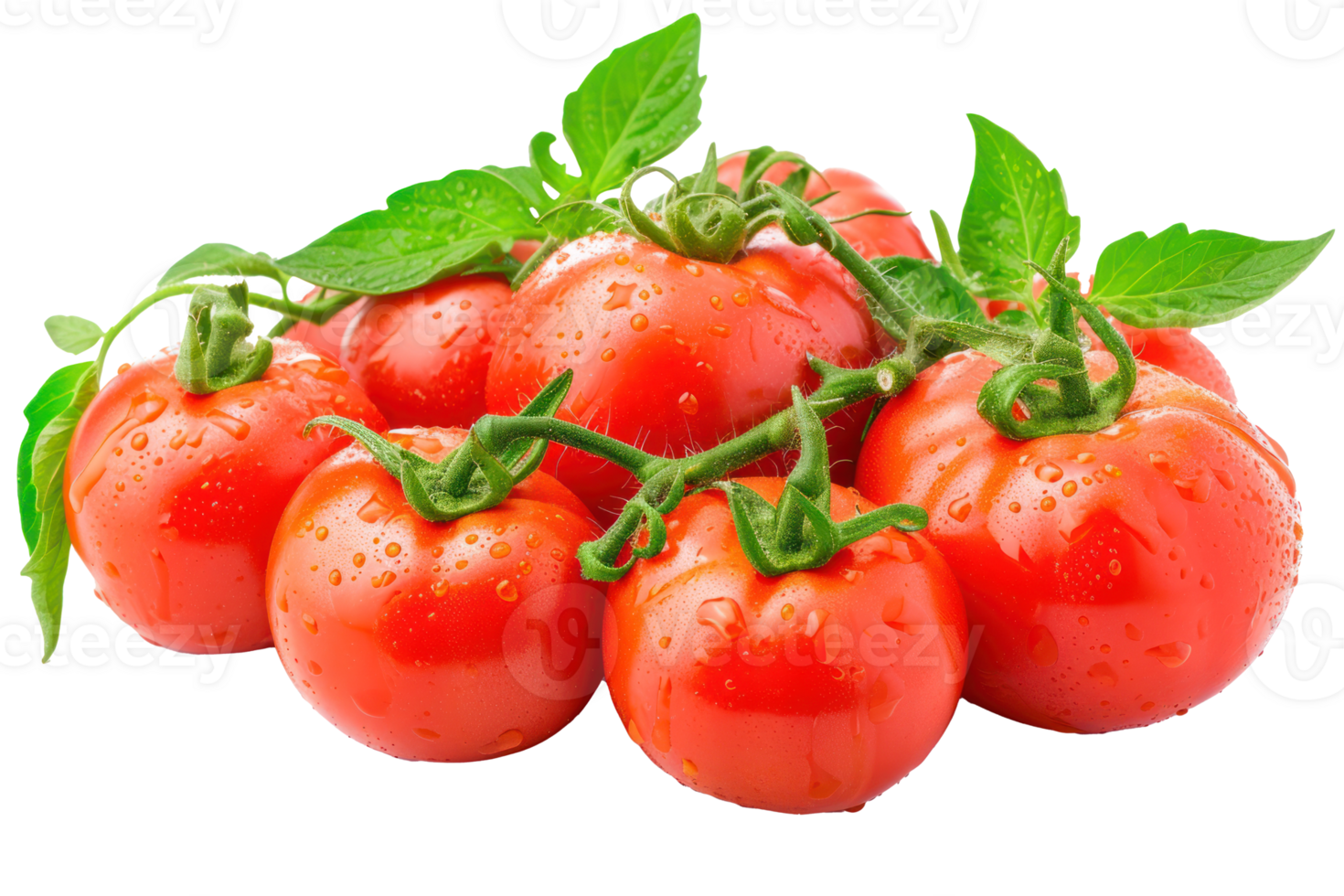 AI generated Fresh red tomatoes with leaves on a transparent background png