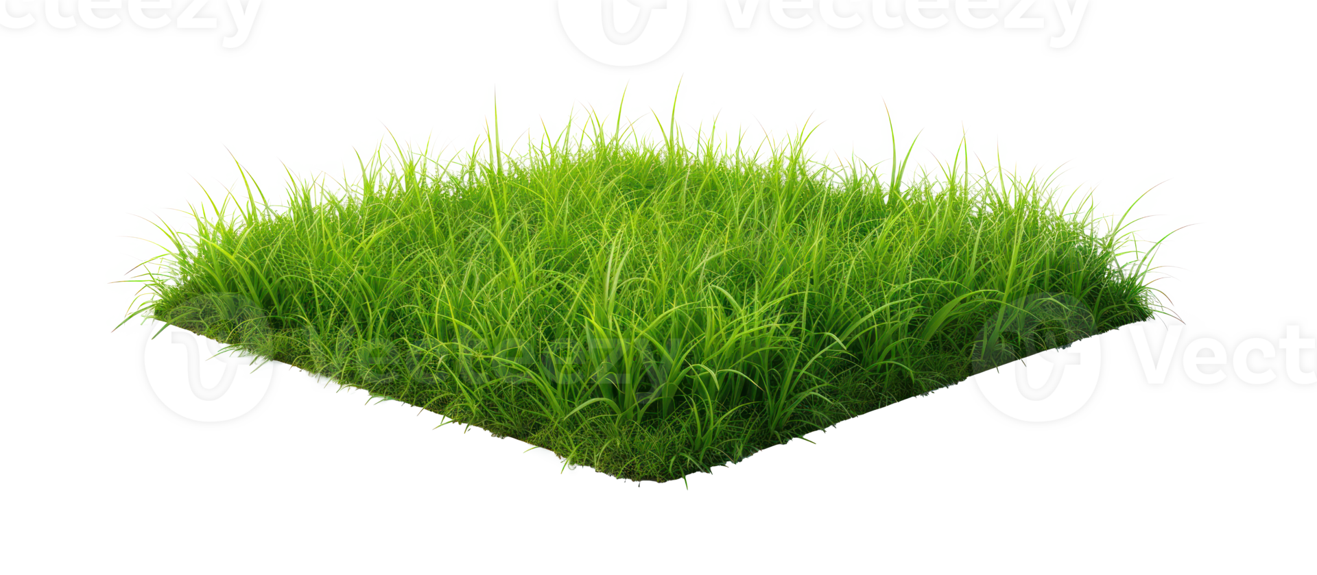 AI generated Small green grass lawn of square shape. Realistic natural element on a transparent background png