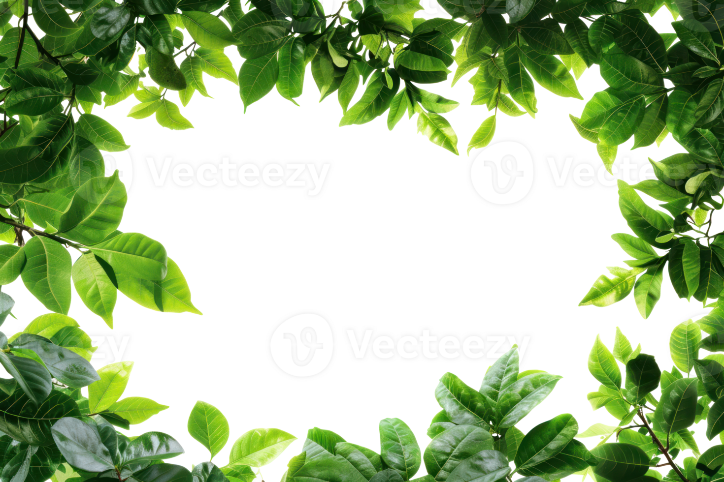 AI generated Beautiful green frame with leaves on a transparent background png