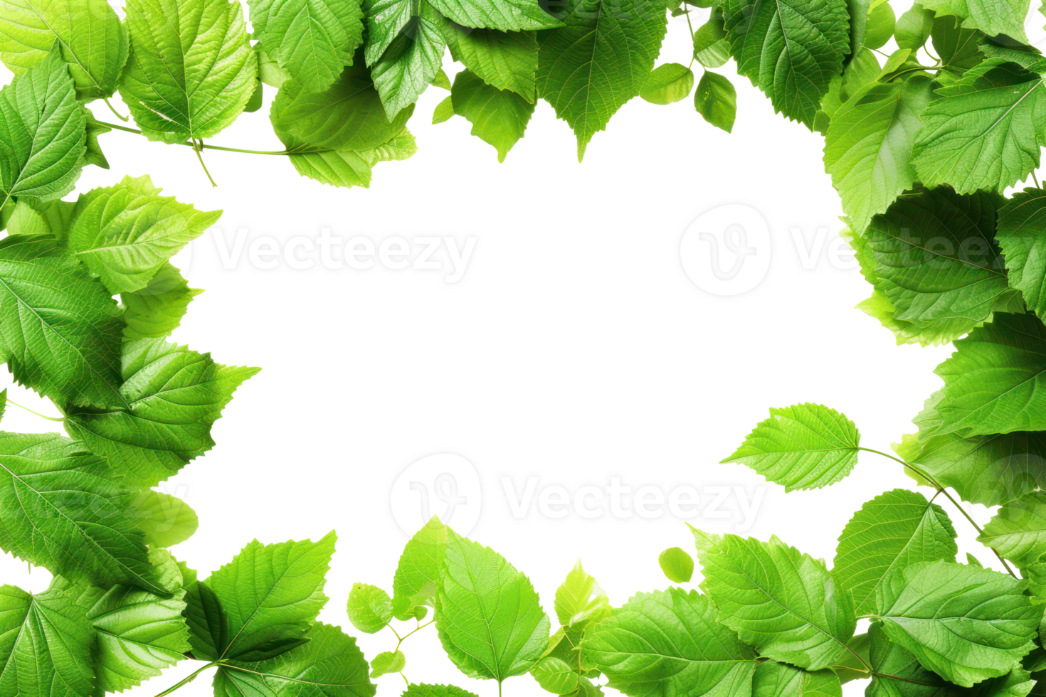 AI generated Beautiful green frame with leaves on a transparent background png