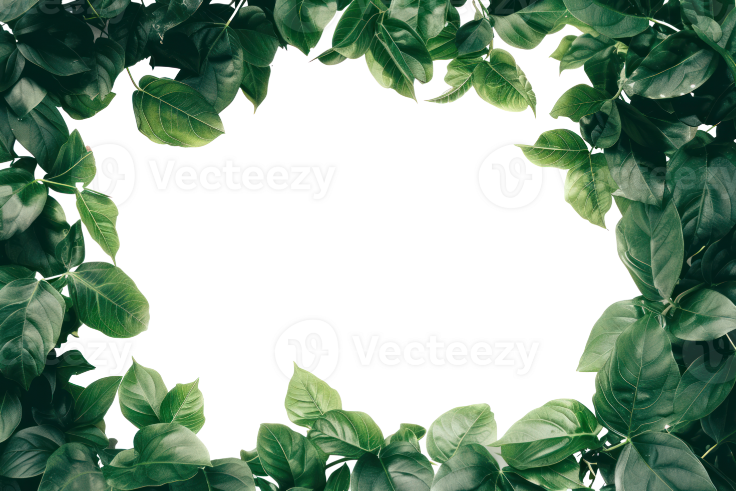 AI generated Beautiful green frame with leaves on a transparent background png