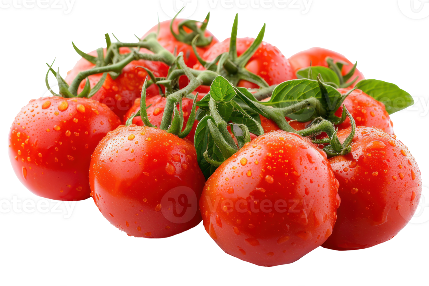AI generated Fresh red tomatoes with leaves on a transparent background png