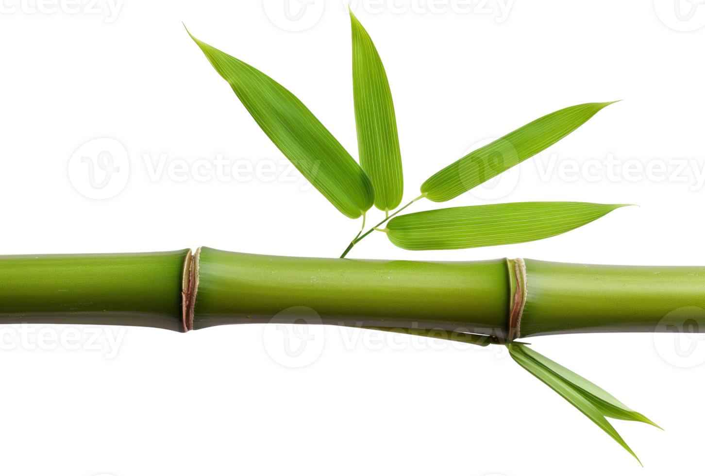 AI generated Green bamboo branch with leaves on transparent background - stock png. png