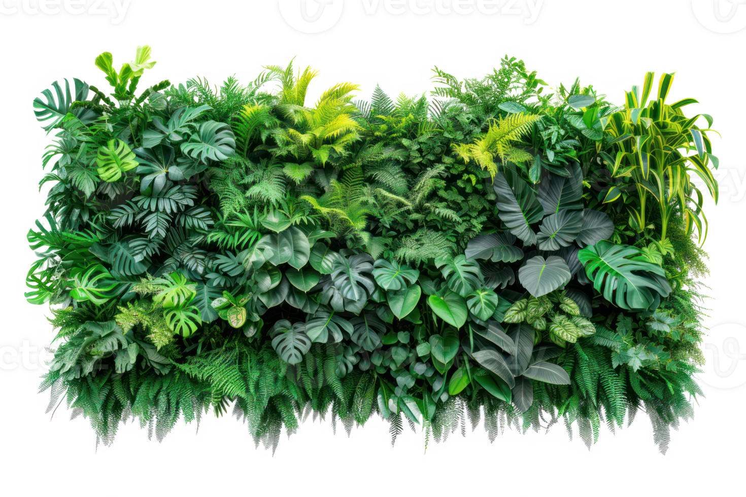 AI generated Green wall of tropical plants on a transparent background png