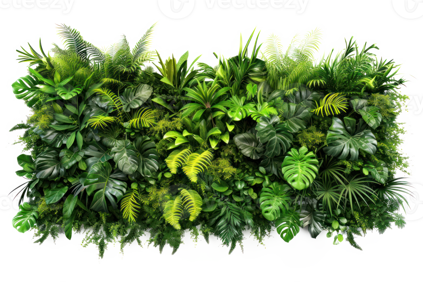 AI generated Green wall of tropical plants on a transparent background png