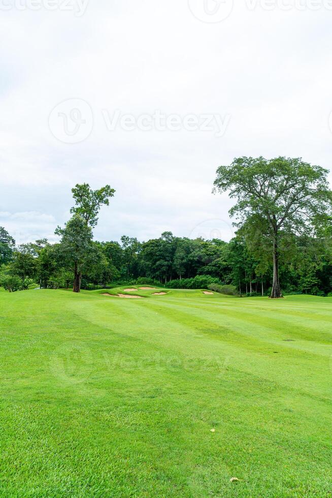 Green with Sand bunkers on Golf course photo