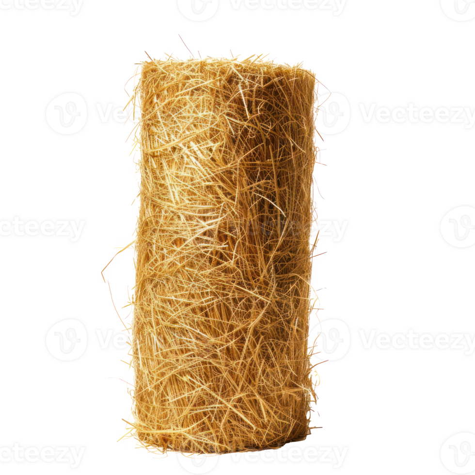 AI generated A cylinder of hay on a transparent background png