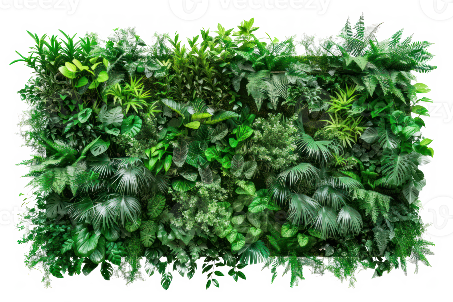 AI generated Green wall of tropical plants on a transparent background png