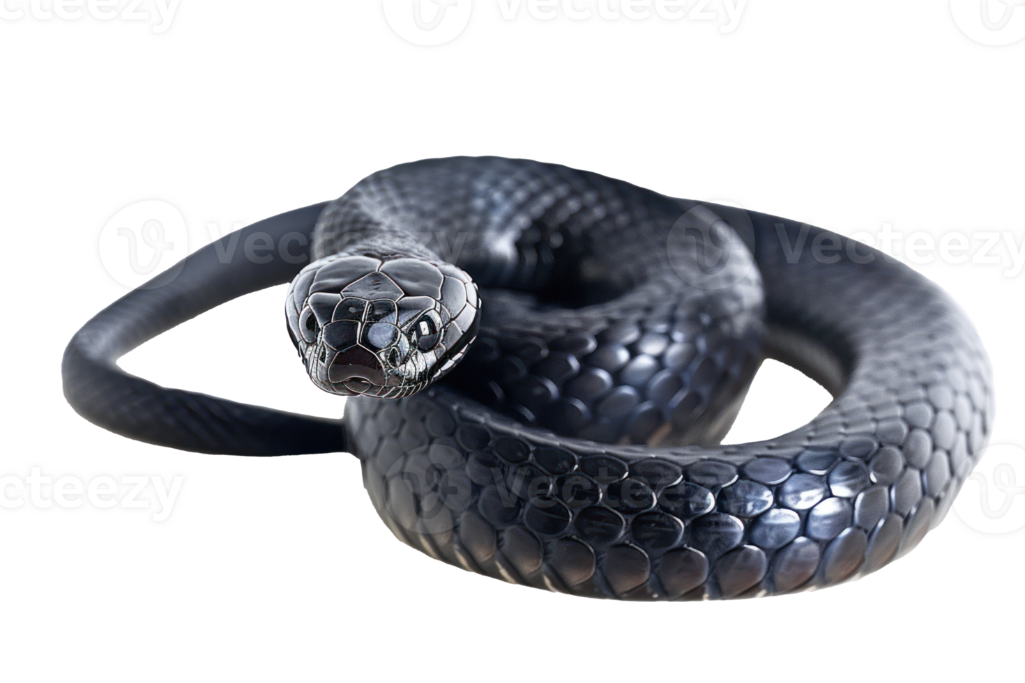 AI generated Black coiled snake with shiny scales on transparent background - stock png. png