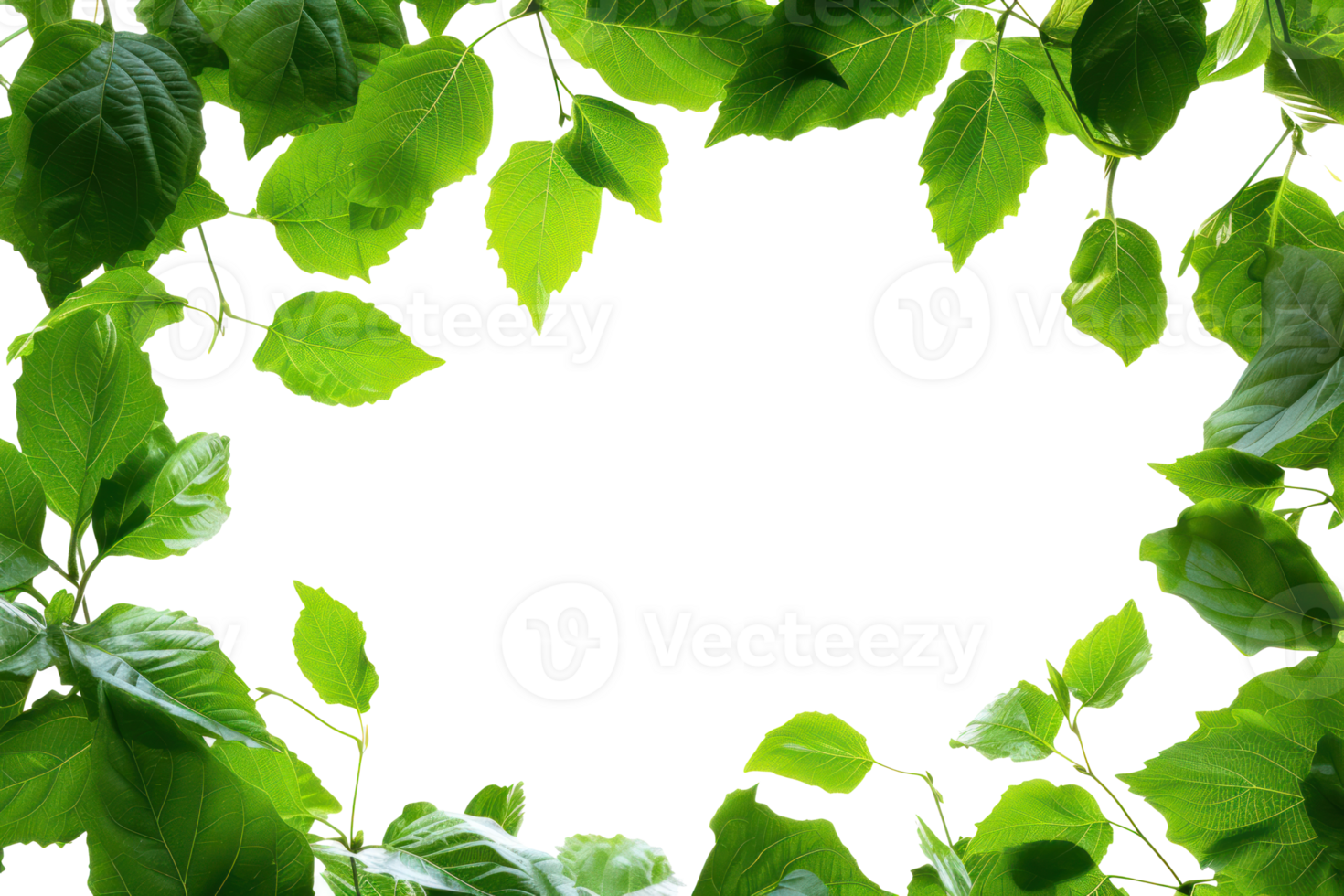 AI generated Beautiful green frame with leaves on a transparent background png