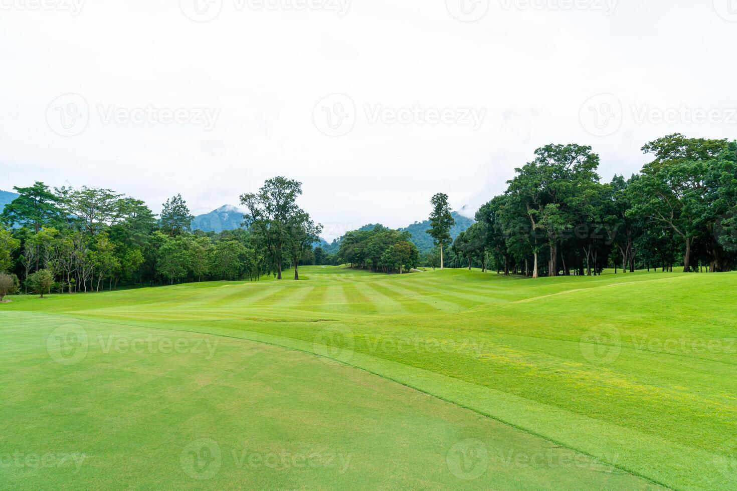 Green with Sand bunkers on Golf course photo