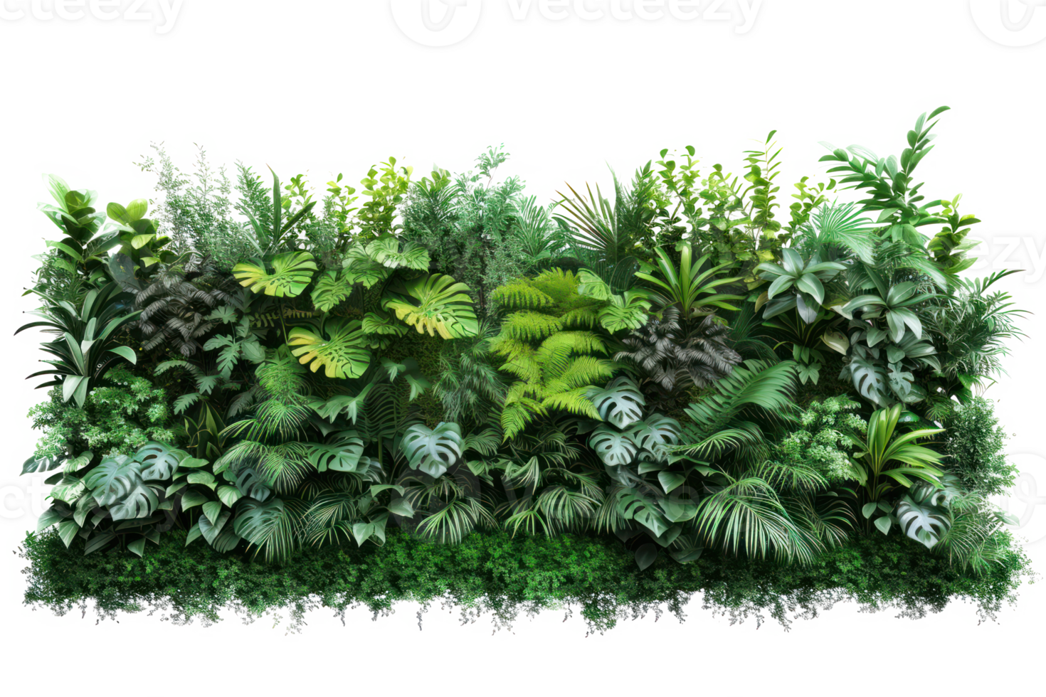 AI generated Green wall of tropical plants on a transparent background png