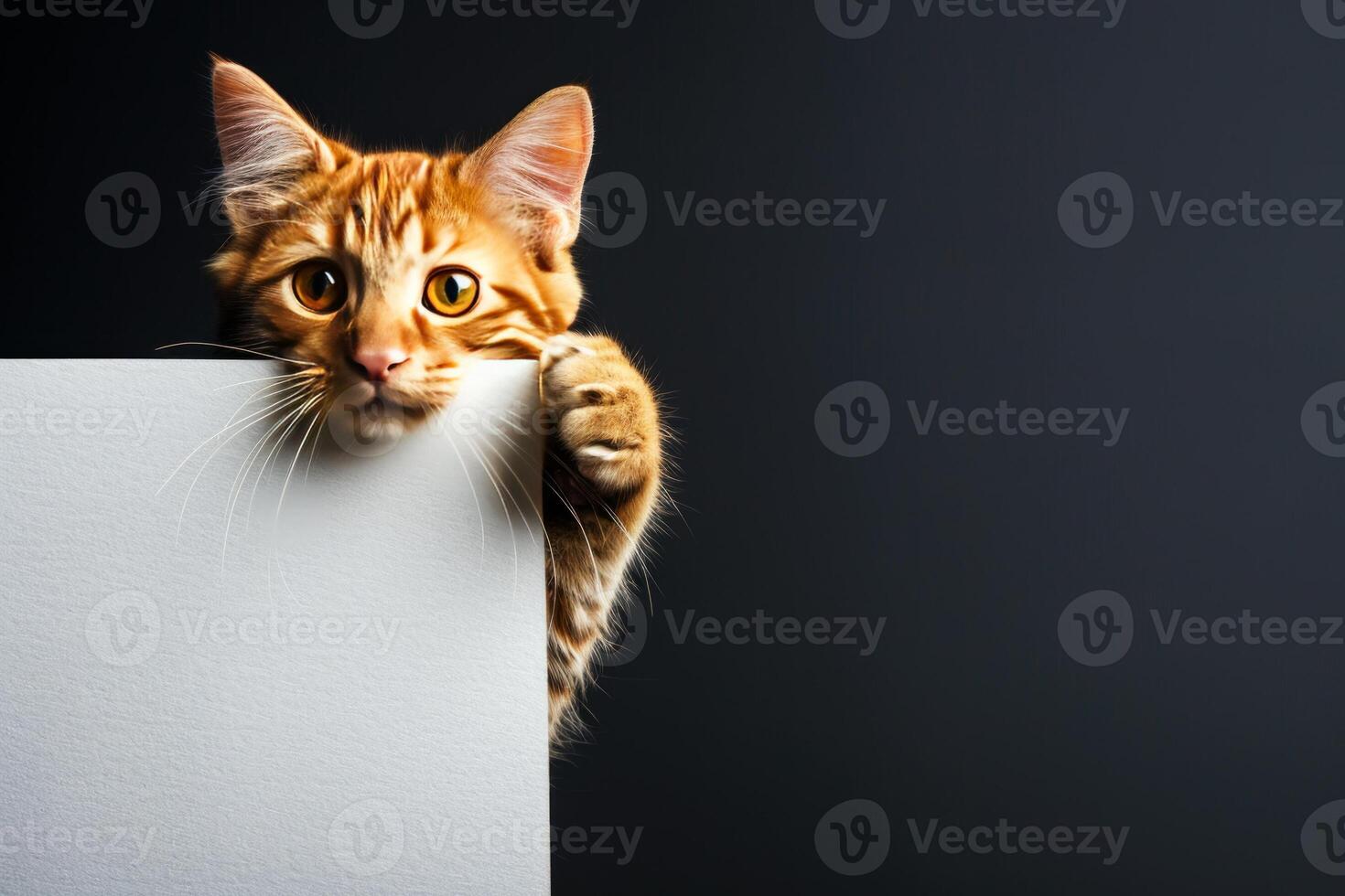 AI generated Playful Orange Tabby Cat Peeking Around the Corner on a Dark Background photo