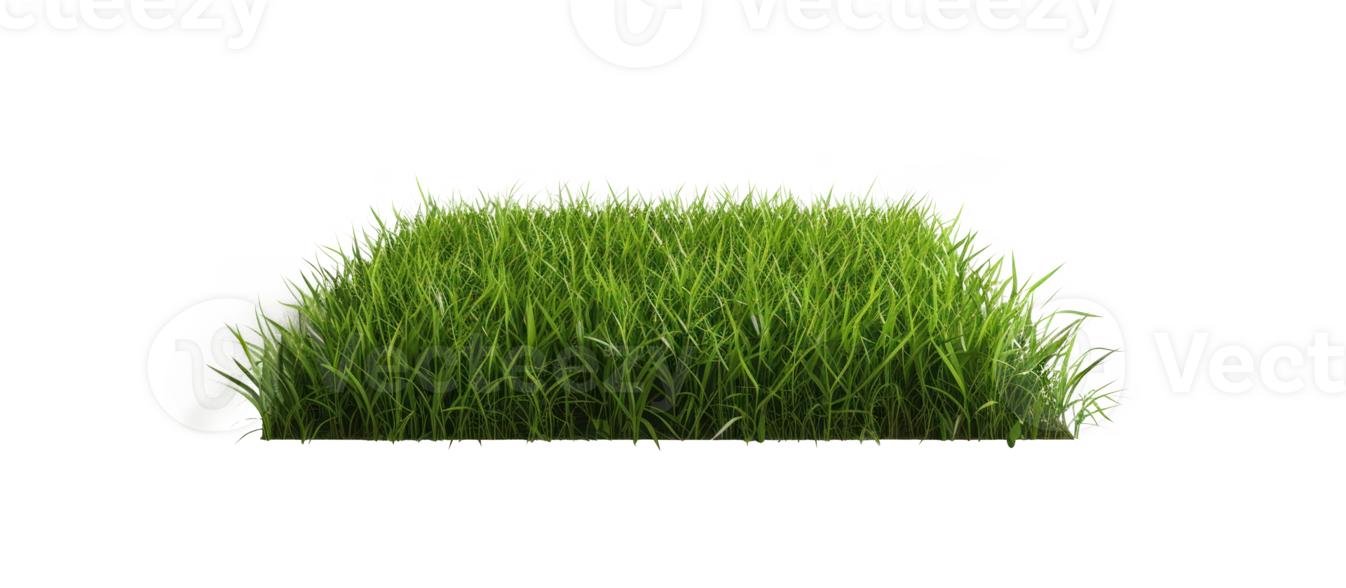 AI generated Small green grass lawn of square shape. Realistic natural element on a transparent background png