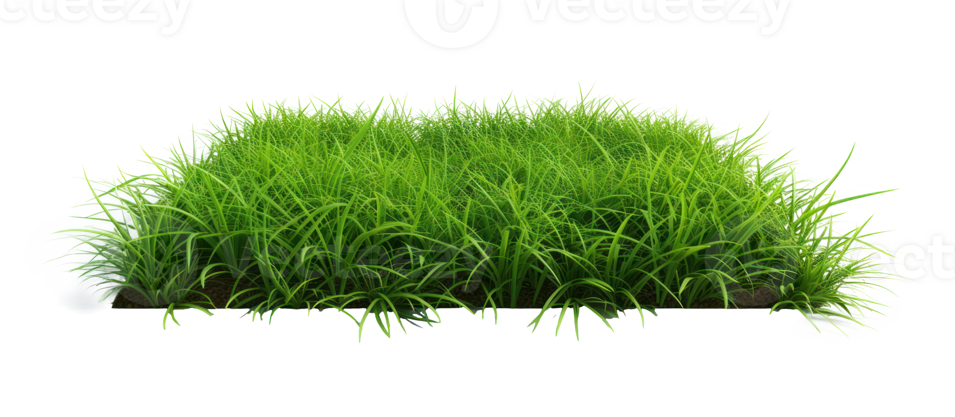 AI generated Small green grass lawn of square shape. Realistic natural element on a transparent background png