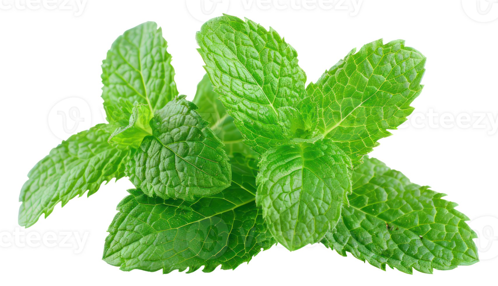 AI generated Fresh green mint leaves on transparent background - stock png. png