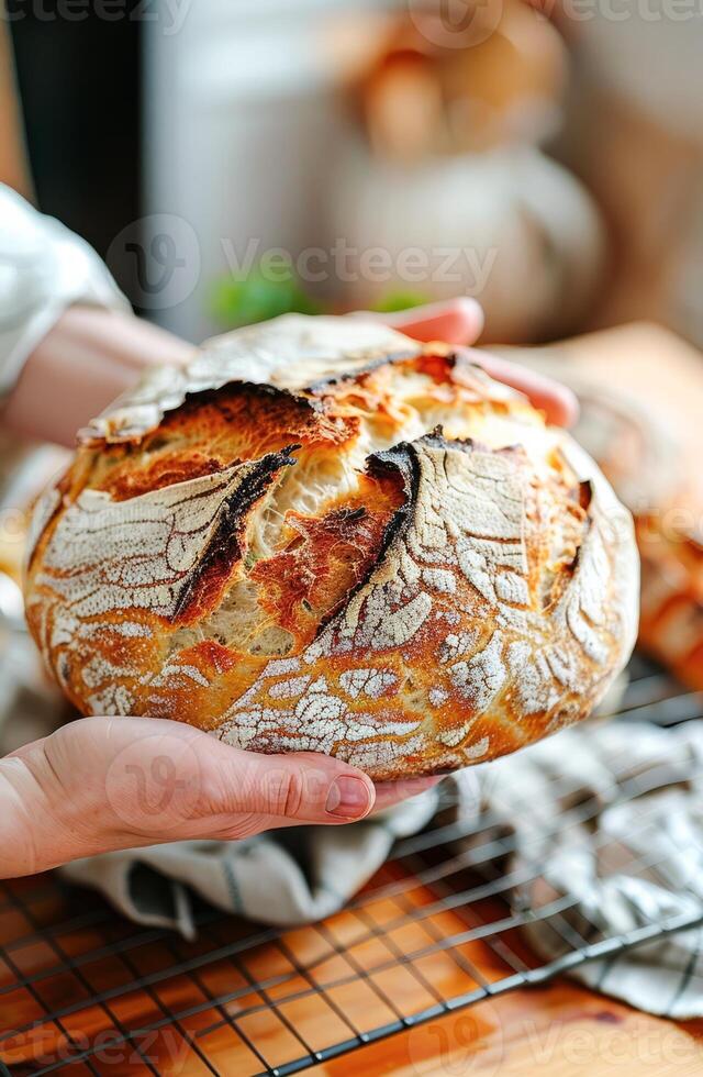 AI generated Artisan Baker Holding Freshly Baked Sourdough Bread in a Rustic Kitchen photo