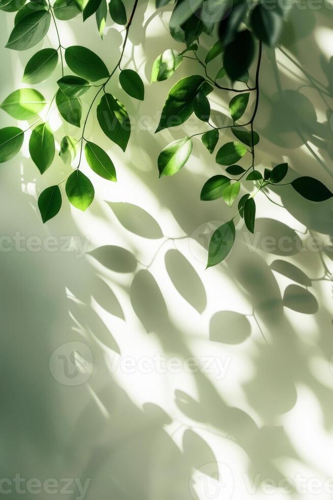 AI generated Sunlight Filtering Through Lush Green Leaves on a Bright Summer Day photo
