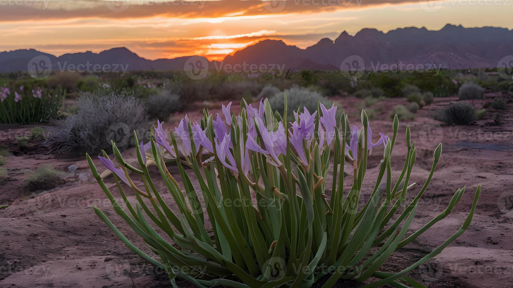 AI generated Flower blooms in the desert symbolize hope and resilience photo